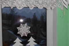 DSCN5550
