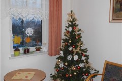 DSCN5558