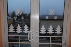 DSCN5561