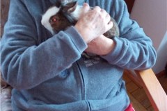 IMG_20201202_102715_3