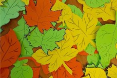 IMG-20221006-WA0003
