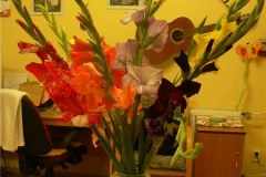 zivot-v-Domove-036