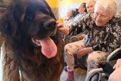 IMG-20240716-WA0009