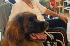 IMG-20240716-WA0013