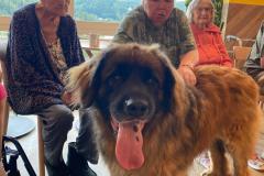 IMG-20240716-WA0031