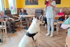 IMG-20240726-WA0013