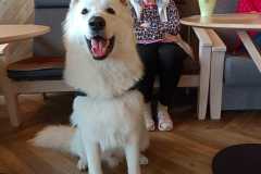 IMG-20240726-WA0014