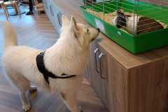 IMG-20240726-WA0016