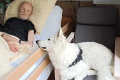 IMG-20240726-WA0025-2