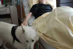 IMG-20240726-WA0026