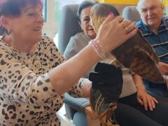 Na ptáky jsme krátký…